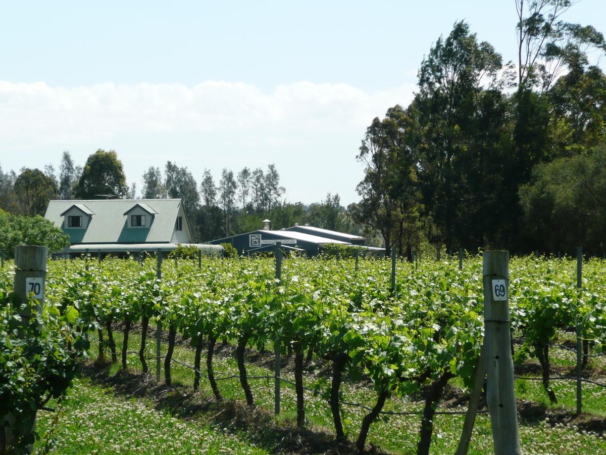 Emma'S Cottage Vineyard Lovedale Extérieur photo