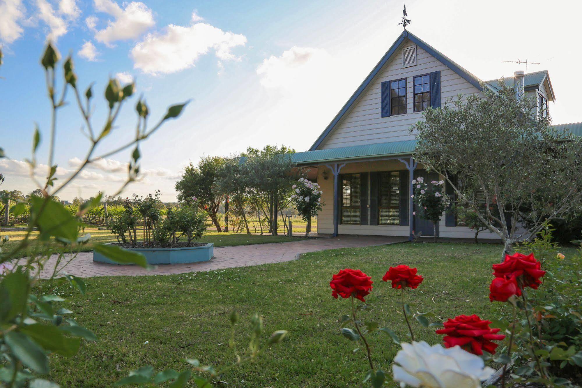 Emma'S Cottage Vineyard Lovedale Extérieur photo