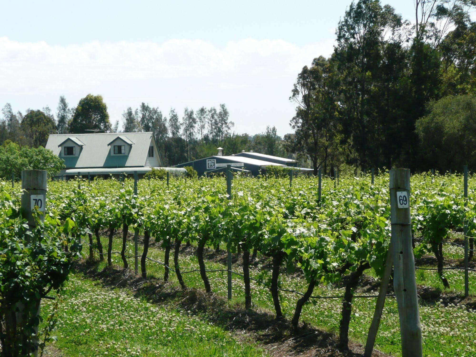 Emma'S Cottage Vineyard Lovedale Extérieur photo