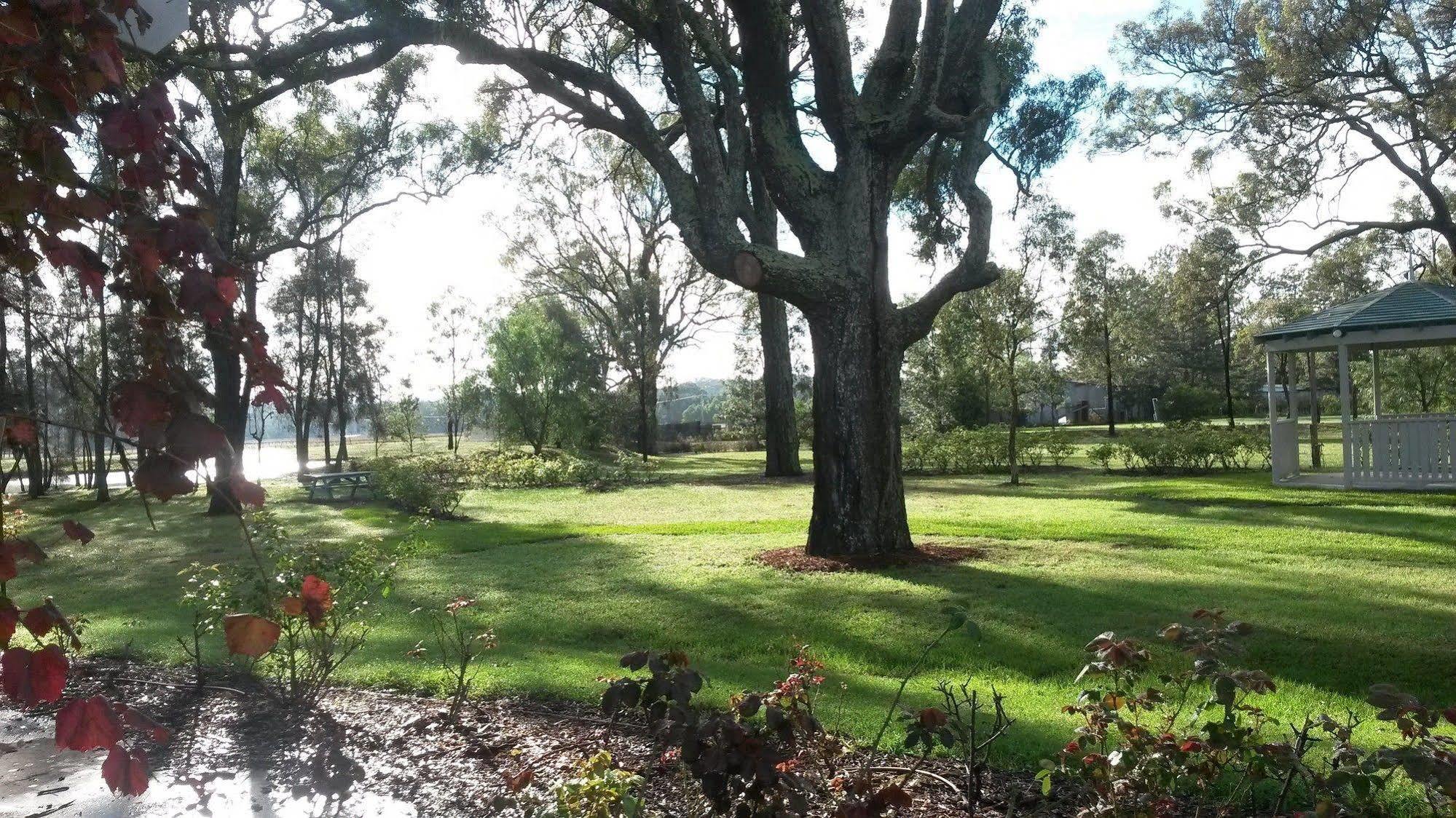 Emma'S Cottage Vineyard Lovedale Extérieur photo