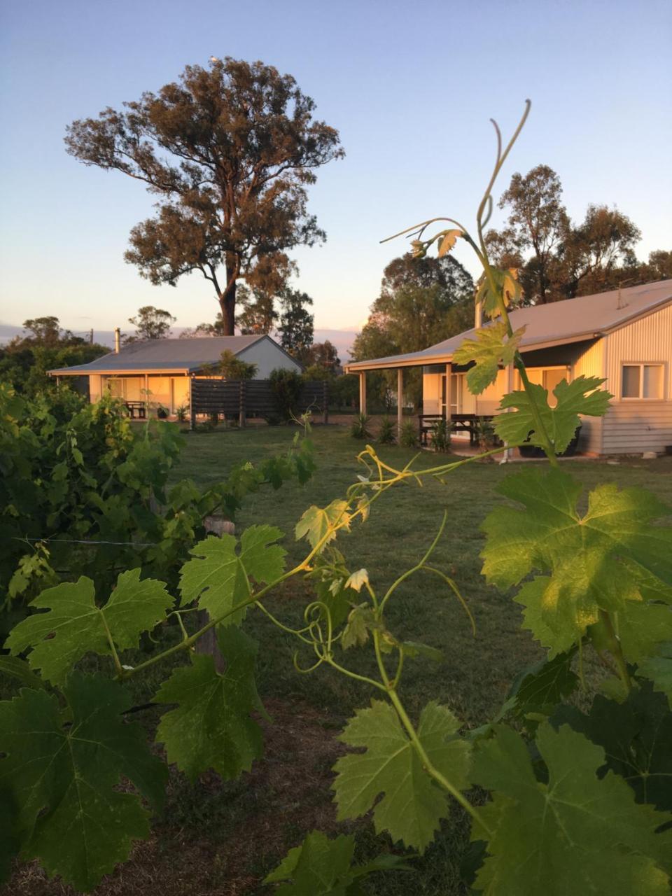 Emma'S Cottage Vineyard Lovedale Extérieur photo